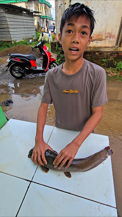 risa lihat ikan lele #trendingshorts