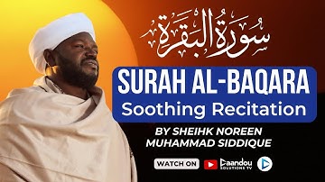 Surah Al Baqara Soothing Recitation by Sheikh Noreen Muhammad Siddique | Daandou Solutions Tv