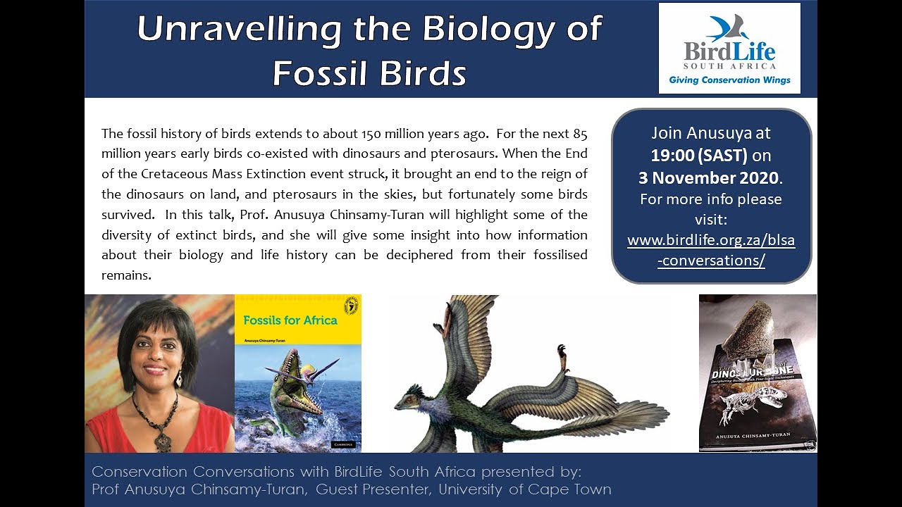 Conservation Convrsations Prof Anusuya ChinsamyTuran Unravelling