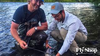 Fishing Report for August 3rd | Ashland Fly Shop