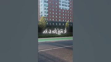 ياسر الدوسري تلاوة خاشعه | beautiful voice quran yasser al dowsari