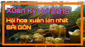 Nhộn nhịp hội hoa xuân Công viên Tao Đàn - Tết Kỷ Hợi 2019 ✔ Lovely Saigon