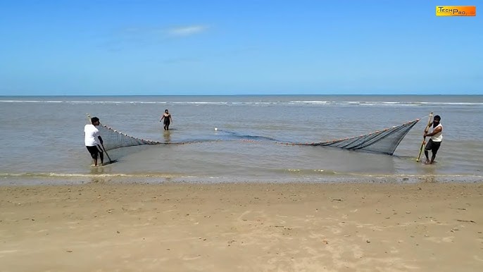 What is a seine net and how do you use it. 