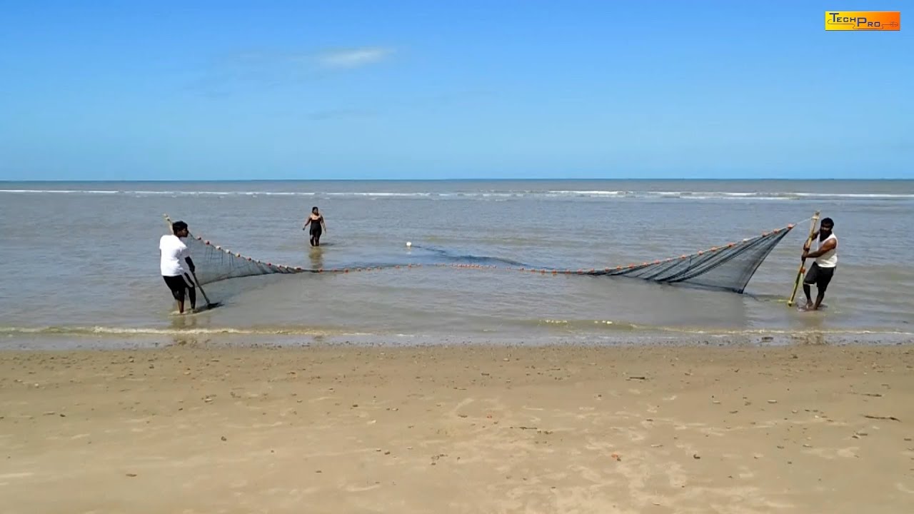How To Use a Hand Seine for Fishing. 
