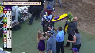 видео: Сай Фэйр побеждает в BC Juvenile Turf Sprint G.I. гонка 6 в Дел Мар 31.10.25 картинка: Сай Фэйр побеждает в BC Juvenile Turf Sprint G.I. гонка 6 в Дел Мар 31.10.25