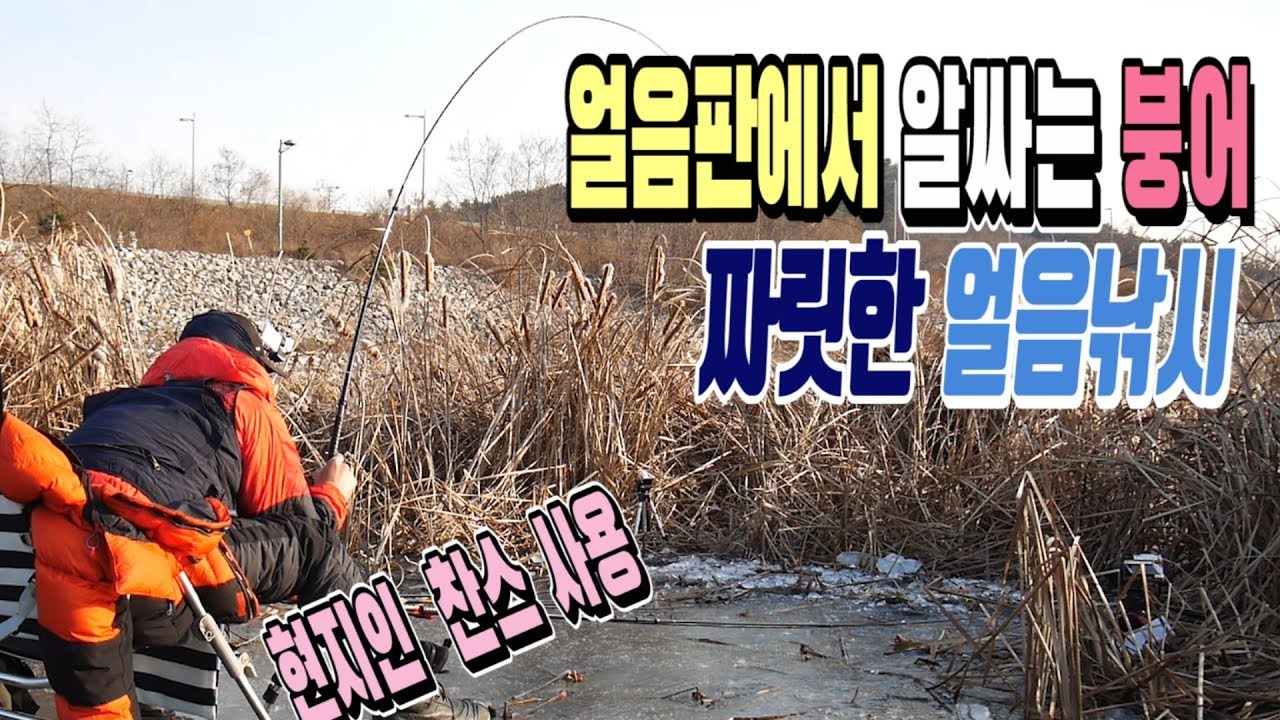 얼음판에서 알싸는 붕어!  짜릿한 얼음낚시