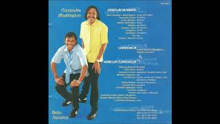 TRÊS, TRÊS PASSARÁ - É O TCHAN DO BRASIL