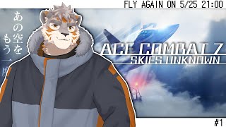 【ACE COMBAT 7: SKIES UNKNOWN #1】あの空へ再び【Vtuber/凍凪コウガ】