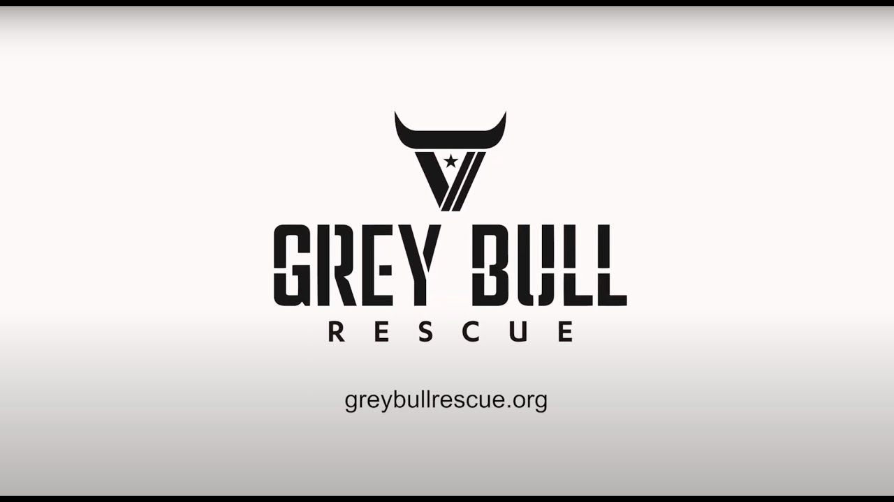 Grey Bull Rescue Short Overview