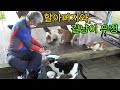 100여마리 고양이 돌보는 한강공원 길고양이 할아버지를 아시나요?  [동행취재]