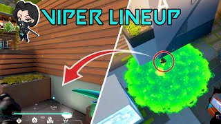 VIPER LineUp SPLIT #1