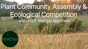 Plant Community Assembly & Ecological Competition with Prof. Margie Mayfield | EcolClips