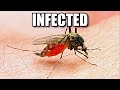 My Sister Got Malaria ....(And I Didn't) - Smarter Every Day 167