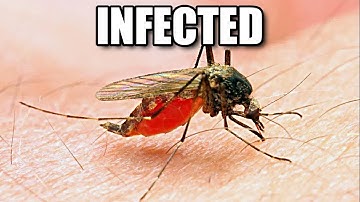 My Sister Got Malaria ....(And I Didn