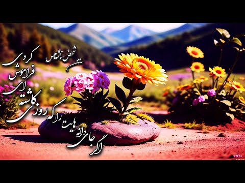 متن از شخص نا شناس اگر جای دانه هایت را که روزی کاشته ای فراموش کردی باران روزی به تو خواهد گفت