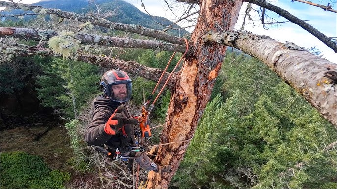 FIRST TIME on tree CLIMBING SPURS 