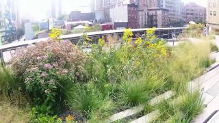New York City  High Line, an urban masterpiece
