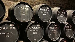 Porto in Portugal/ Vila de Gaia/Calem wine tour & Fado show/ Best location Porto hotels /WOW street