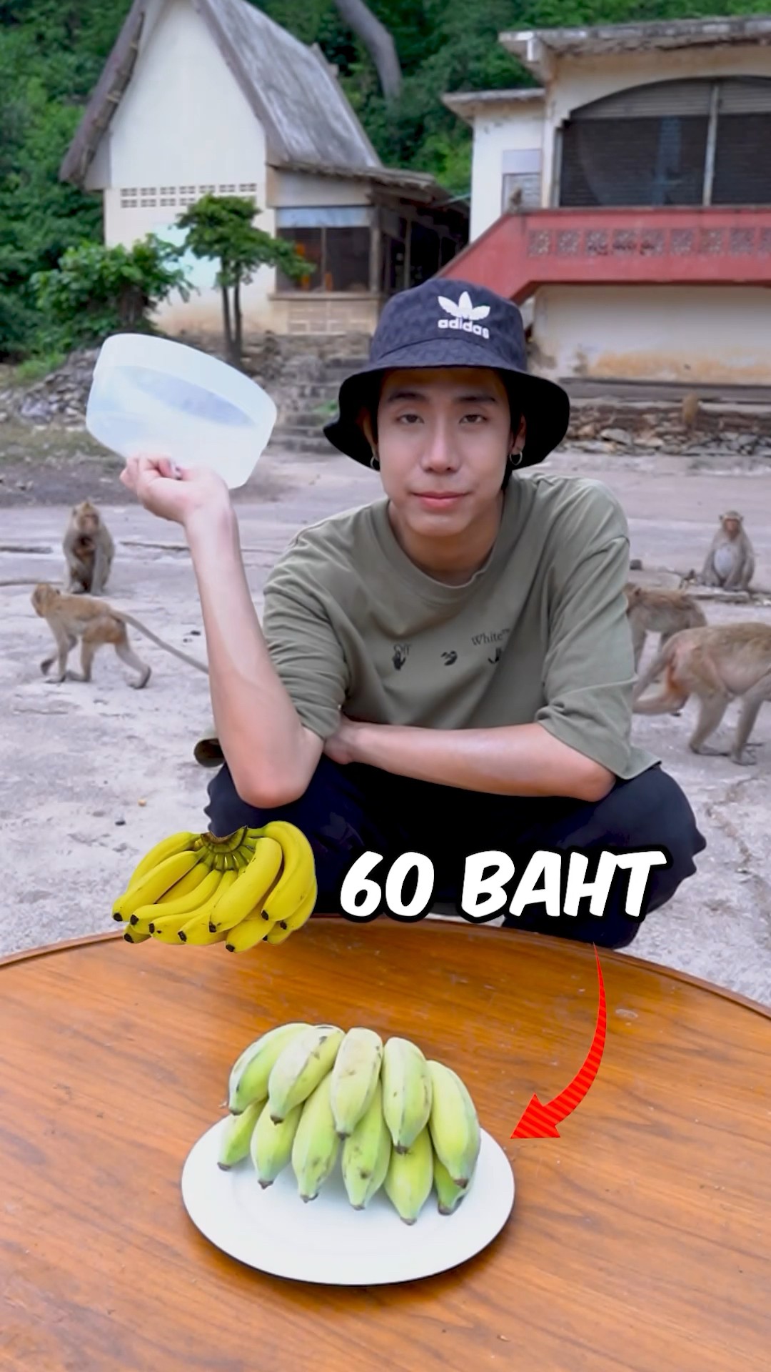 Do monkeys really like bananas? ???