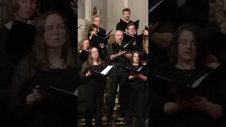 Jonathan Adams: This Still Room (end)