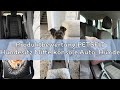 Produktbewertung PETSFIT Hundesitz Mittelkonsole Auto, Hunde Autositz für Kleine Hunde mit verbesser