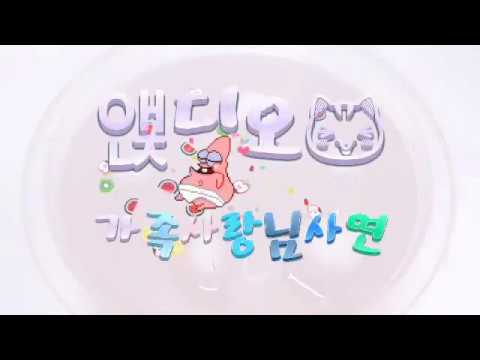 앥디오1#"가족을 사랑하고 싶어요..."/설참