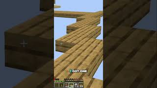 Minecraft Platform Adventure in One Block