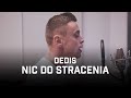 Dedis - Nic do stracenia