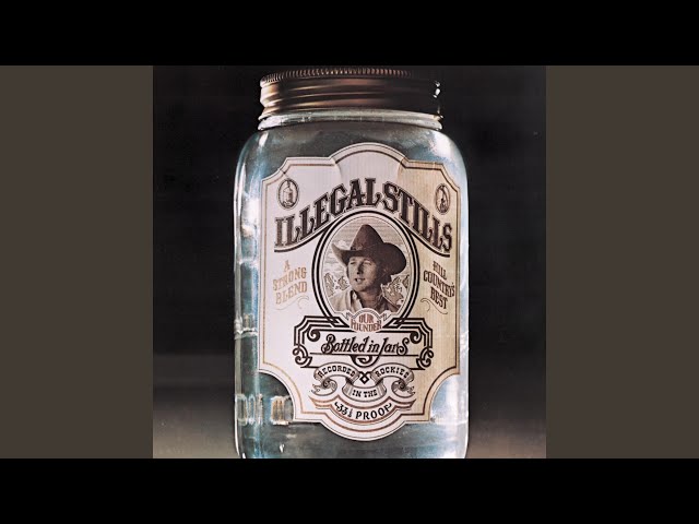 Stephen Stills - The Loner