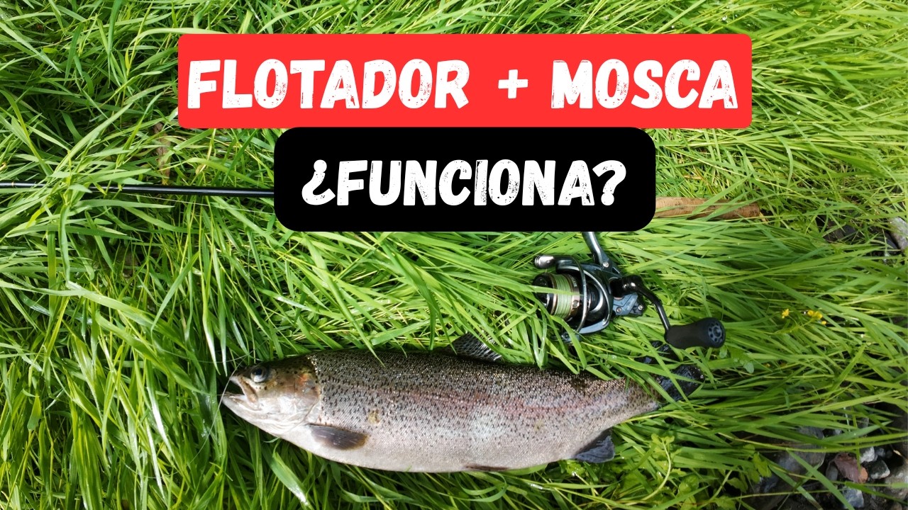 MOSCA CON EQUIPO SPINNING 🪰| asi me fue en el rio!