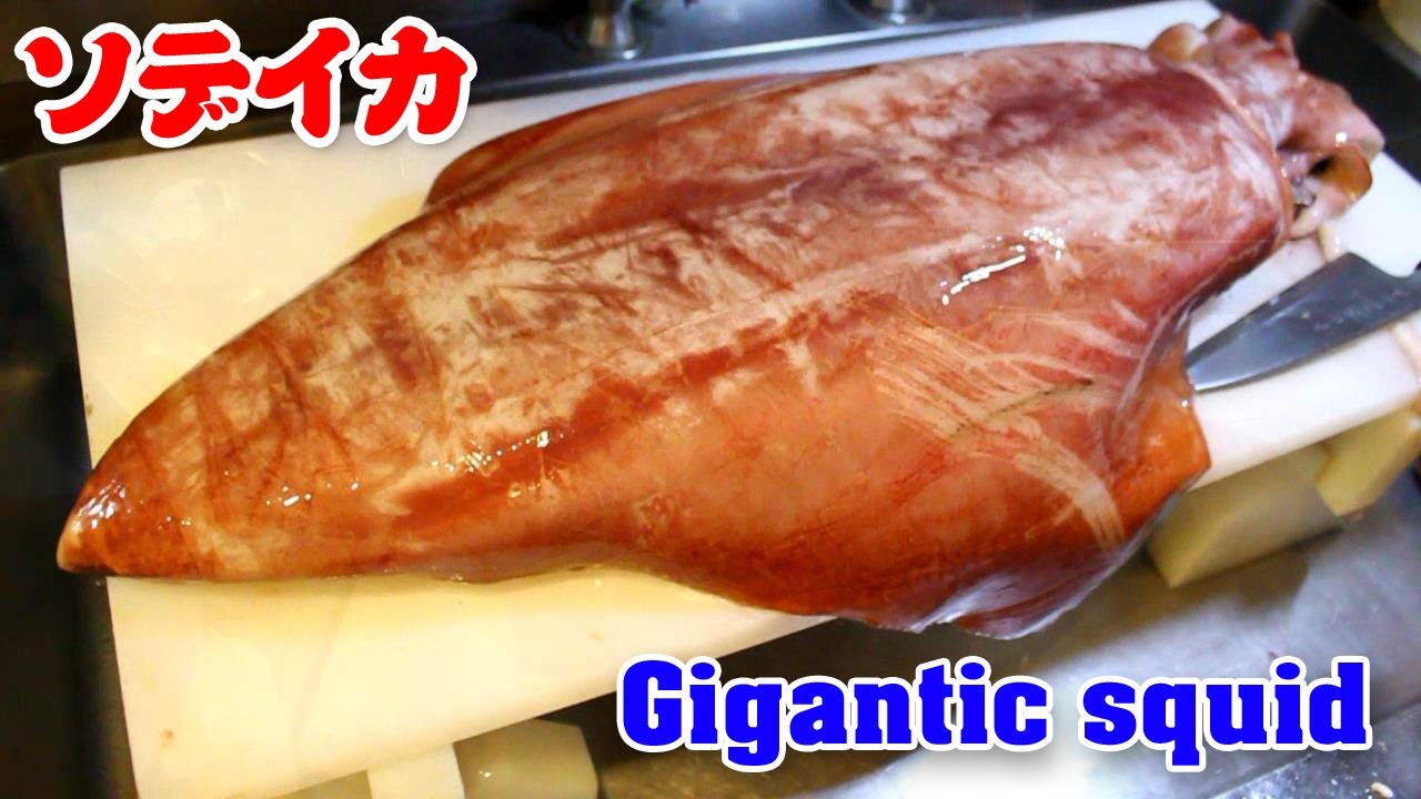 デカっ 超巨大イカを小さく見える出刃でさばく ソデイカのさばき方 Diamondback Squid Youtube