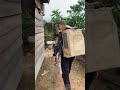 Kebun kopi musim penghujan jang