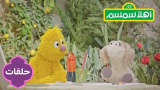 Ahlan Simsim season 2: Dabke Can Dance | أهلاً سمسم الموسم الثاني: حصة الدبكة