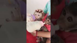 Lets Drink Milk As Couple Together With Love You So Much Baby ,