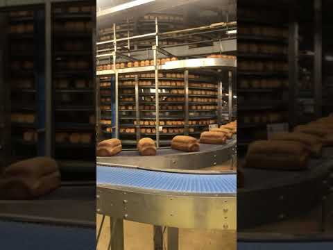 Video: Een Bakker 