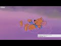 Winnie the Pooh exhibition – BBC London News