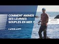 Comment animer ses leurres souples  caperlan sw