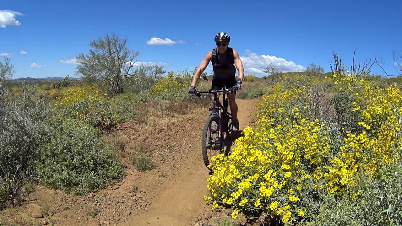 Mountain biking in the Phoenix Sonoran Preserve YouTube