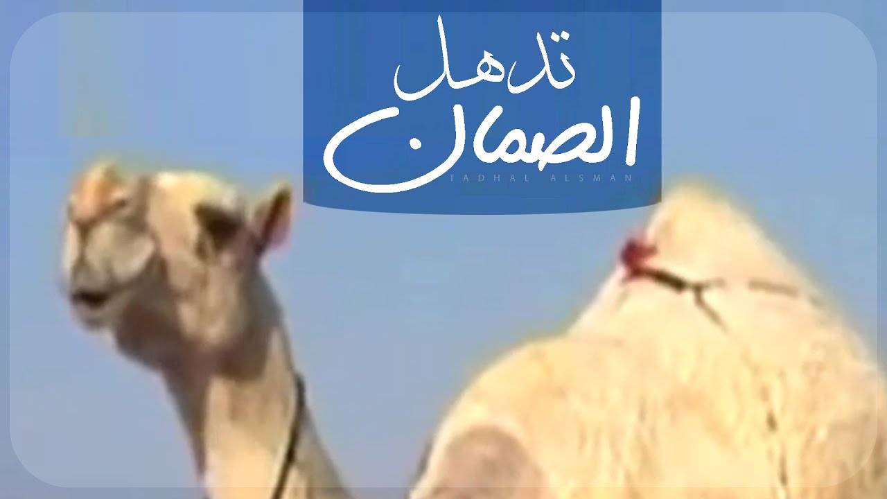 تدهل الصمان - كلمات الشيخ ناصر بن مهنا السبيعي (رحمه الله)