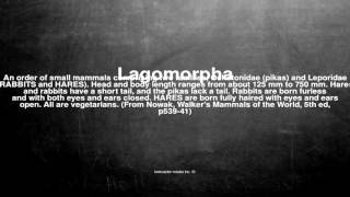 Medical Vocabulary What Does Lagomorpha Mean