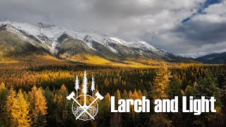 Larch and Light - Photographing Montana's Peak Western Larch Change