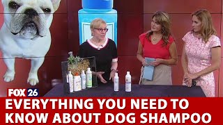 Everything you need to know about dog shampoo