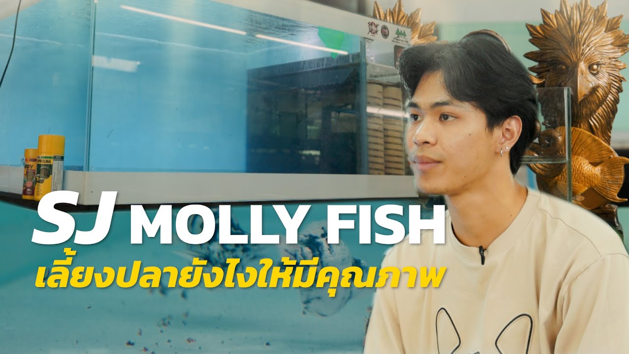 พาทัวร์ฟาร์ม SJ Molly Fish จากเด็กหนุ่มสู่เจ้าของฟาร์มปลาบอลลูนรายได้หลักแสน