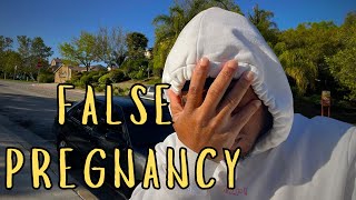 Why Did My Dog Have A False Pregnancy!