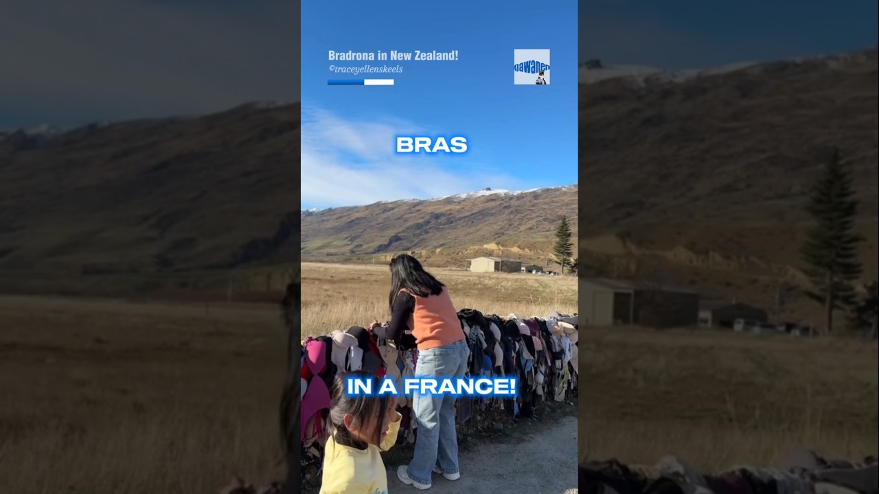 The World's Most Famous Bra Fence!