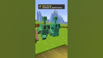 🥇 Bare Bones Texture Pack 1.21.9/1.21.8