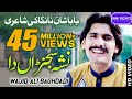 Nasha Sajna da  Wajid Ali Baghdadi official song jani rights saraiki video songs