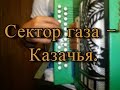 Сектор газа - Казачья ( разбор песни на гармони).