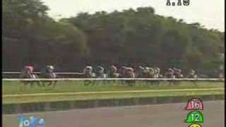 2007 Japanese Derby 日本ダービー 日本打吡 - YouTube