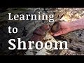 Learning to Grow Shiitake Mushrooms with SandyCreek Farm